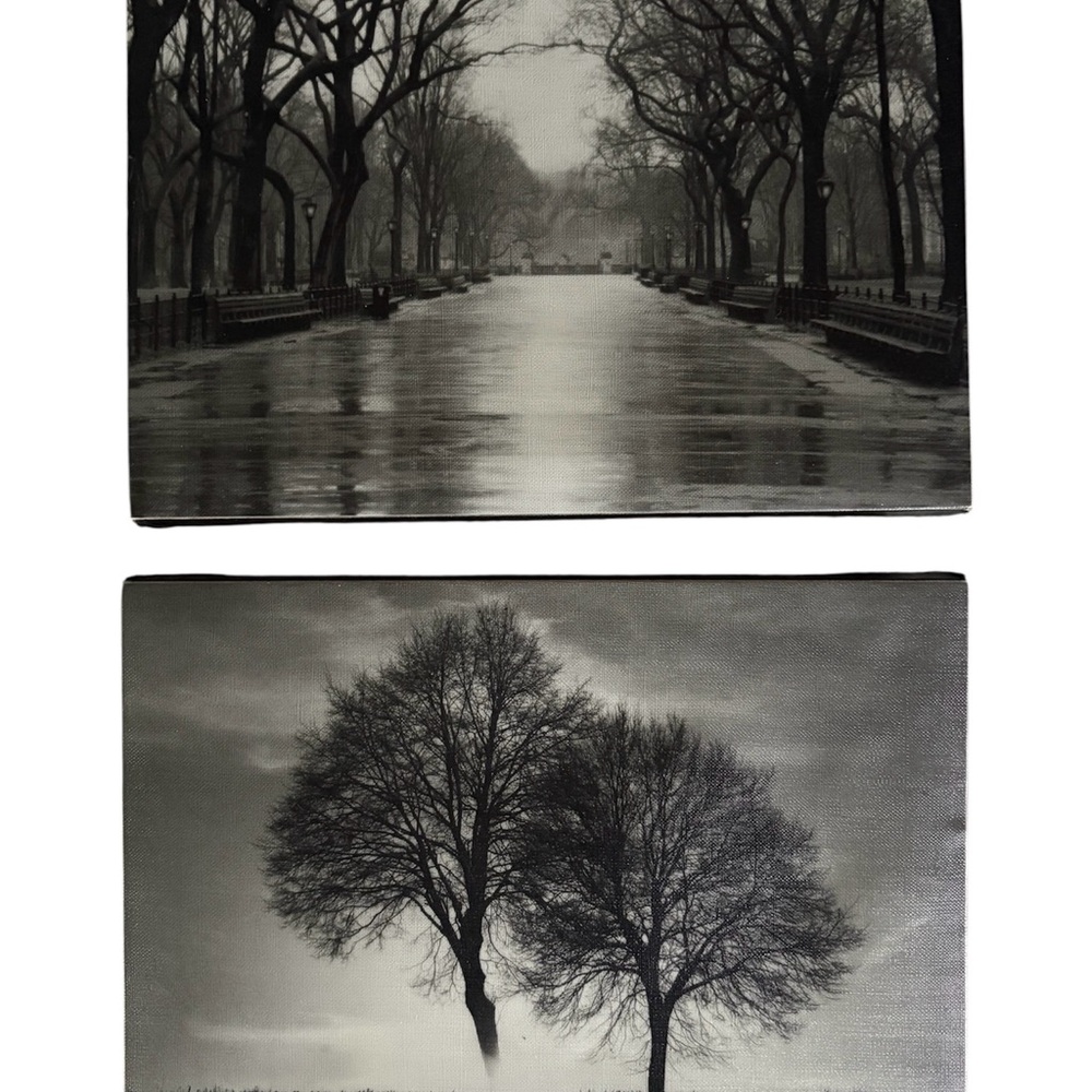 Black and White Tree Canvas Art Set